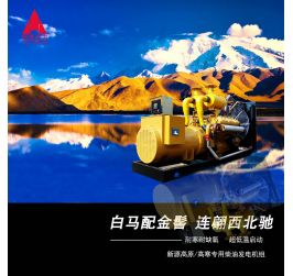 高原/高寒區(qū)域用柴油發(fā)電機(jī)組